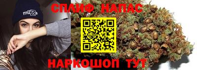 стафф Белореченск