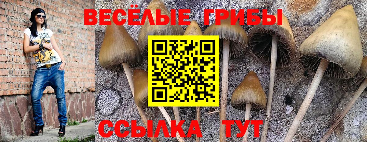 Ангарск  Псилоцибиновые грибы Psilocybine cubensis  Вход с VPN 