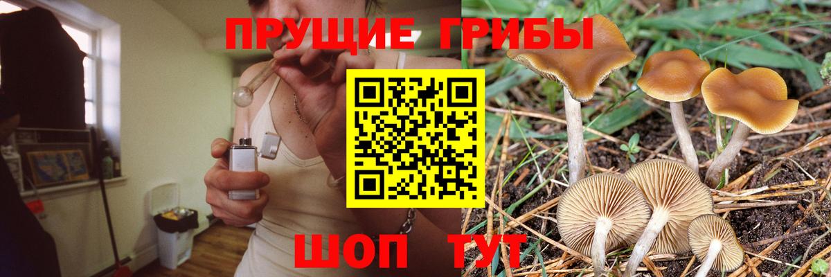 Галлюциногенные грибы мухоморы Ангарск